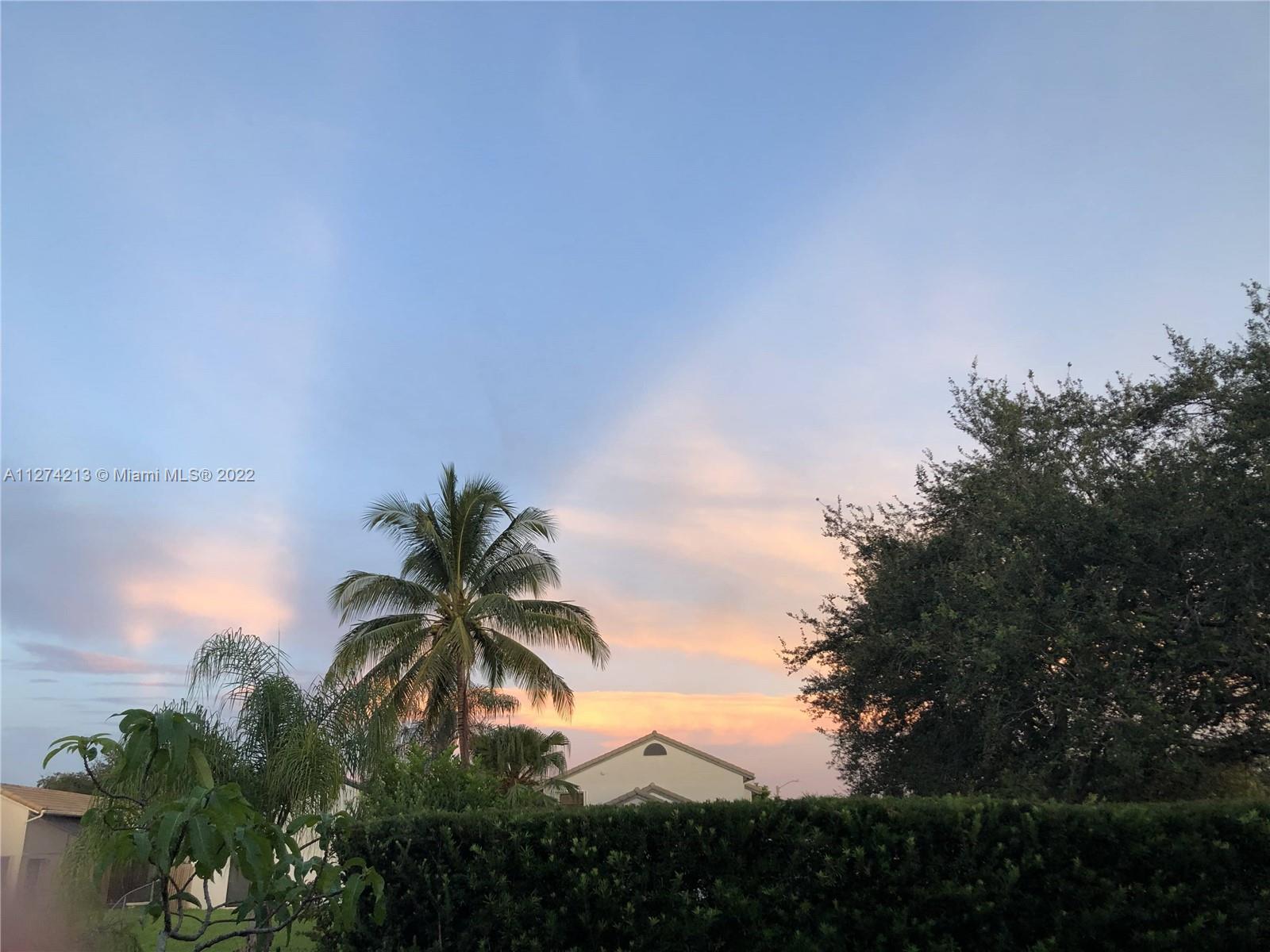 Impressive view of the colorful sky from the west side of the backyard, beyond the privacy hedges.