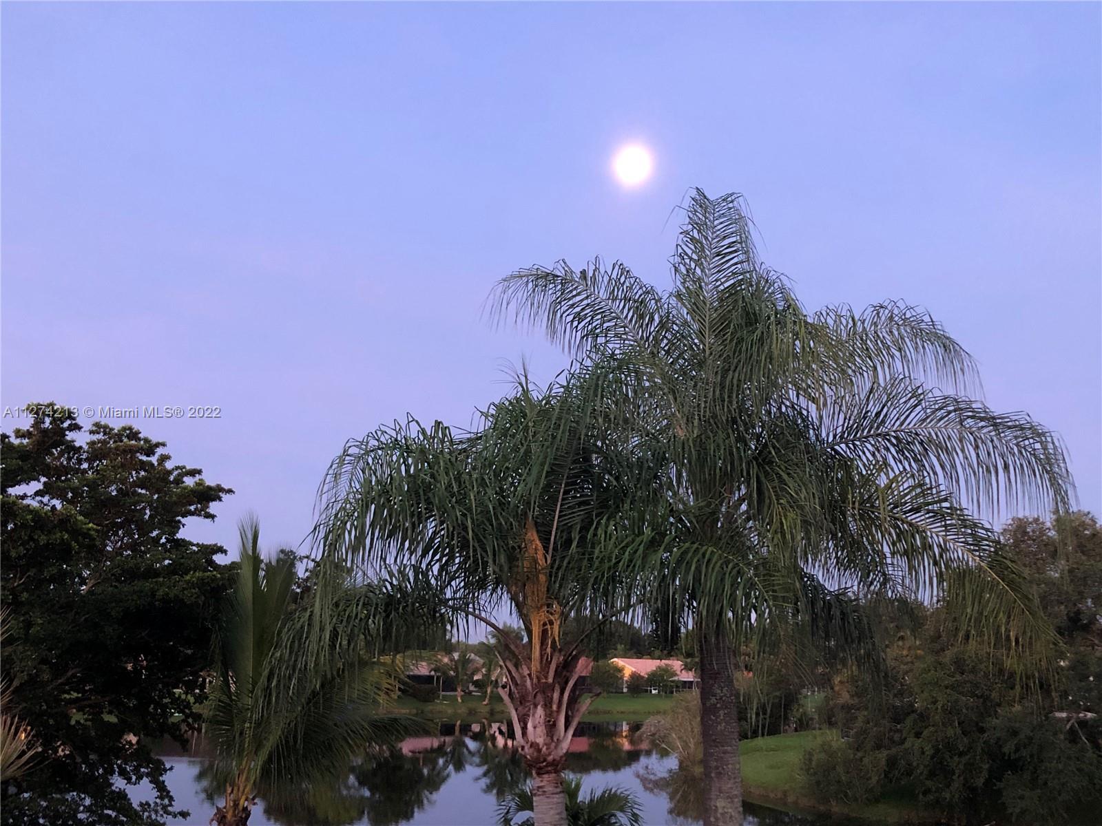 Spectacular view of a full moon and the lake!