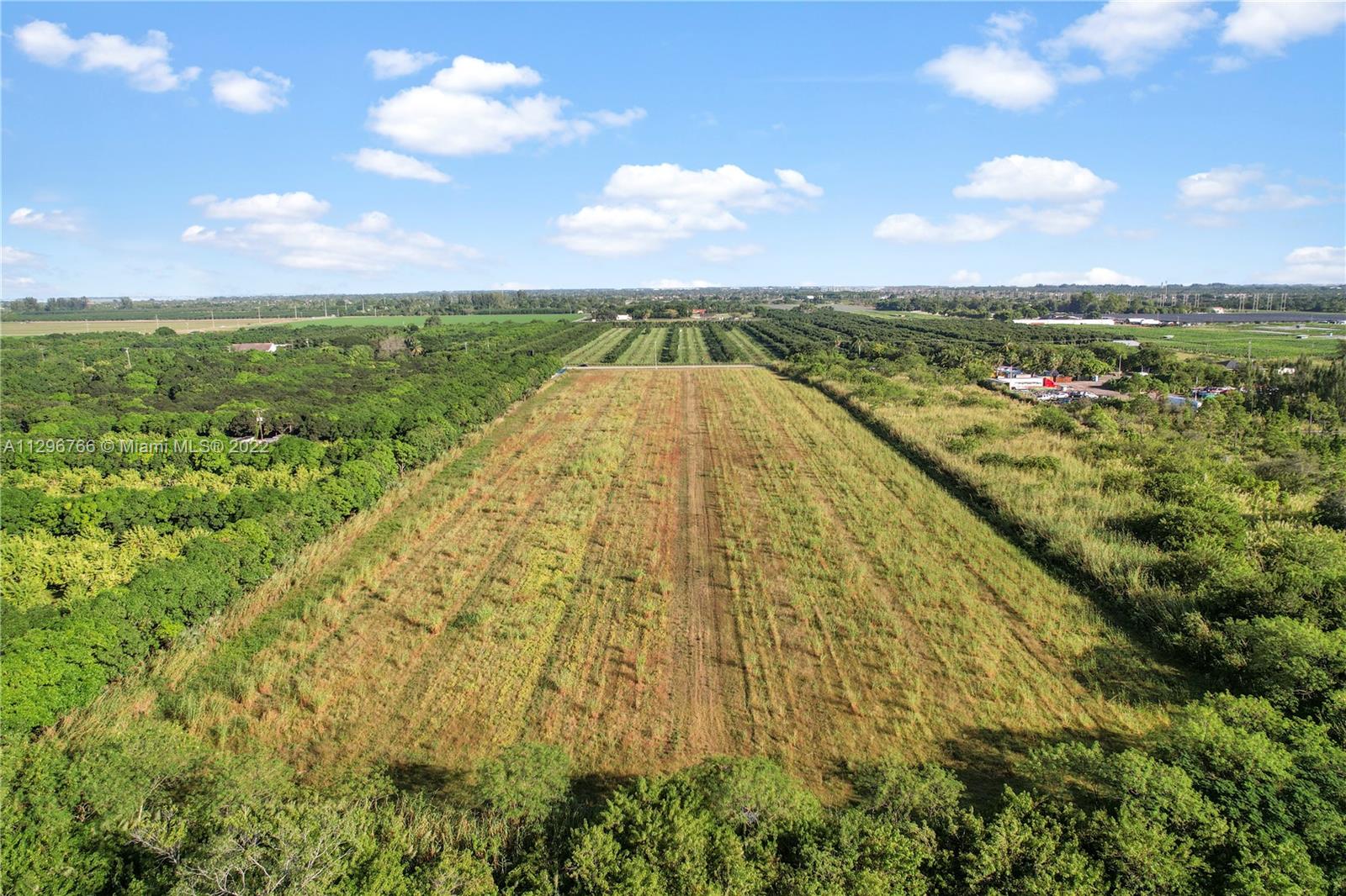 the rear 1/2 acre has established protected trees.. nice to have those large trees..