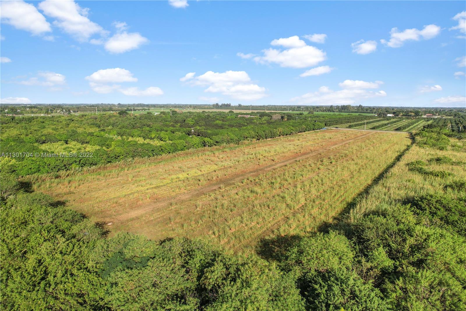 the rear half acre has protected trees...