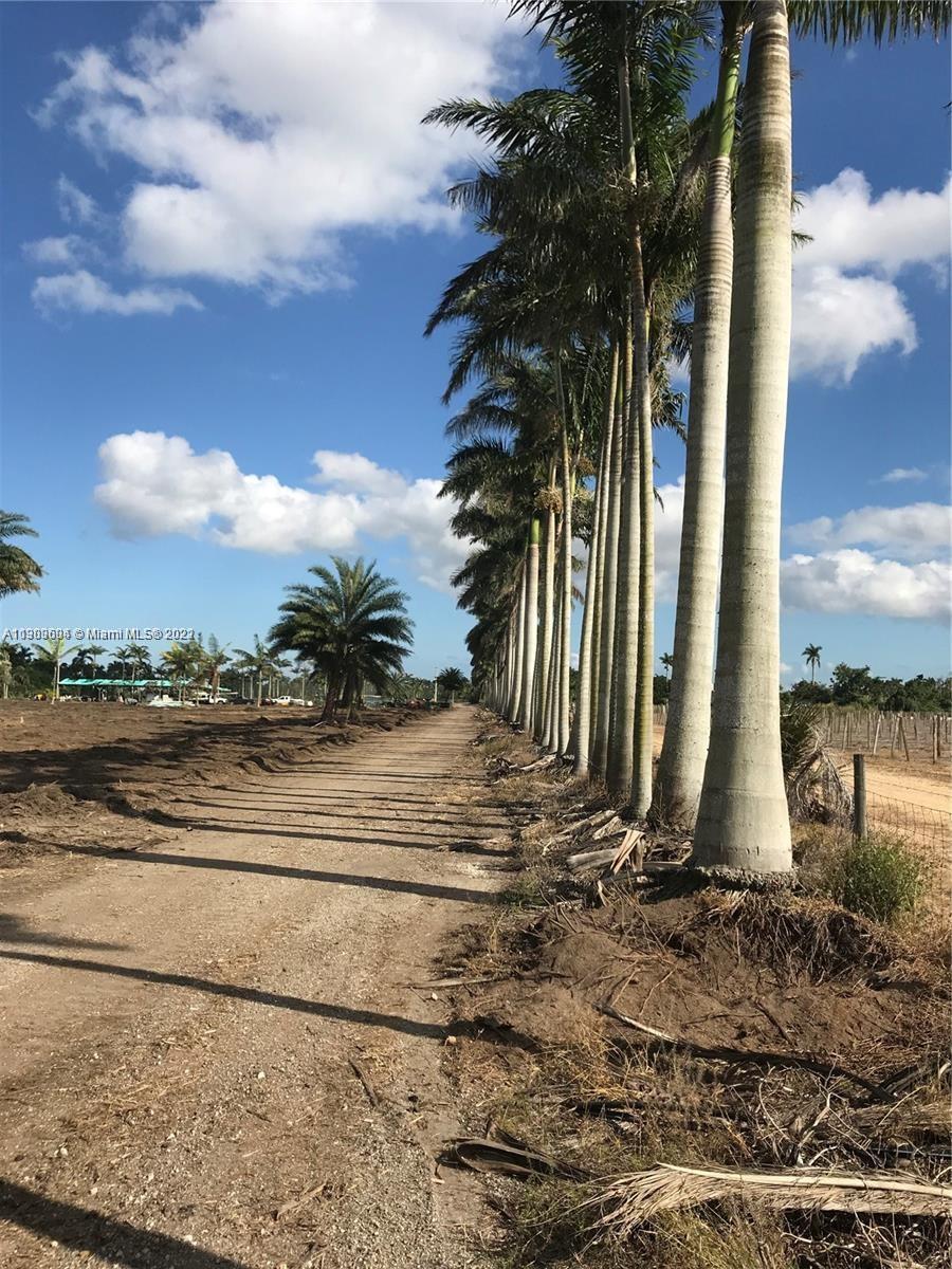 FOR LEASE ONLY 20 ACRE IN REDLAND (USED TO BE A NURSERY). IT HAS ELECTRICITY, WELLS, SEPTIC TANK, EASY TO SHOW. CALL FOR ADDITIONAL DETAILS. $1,000 PER ACRE PER MONTH.
THIS IS A FABULOUS RENTAL 20 ACRE PARCEL FACING 167 SW AND 252 STREET, NO SEMI TRUCKS ALLOWED, LONG TERM LEASE ONLY, THIS PROPERTY COULD BE USE TO STORE PLANTS OR RUN A NURSERY.