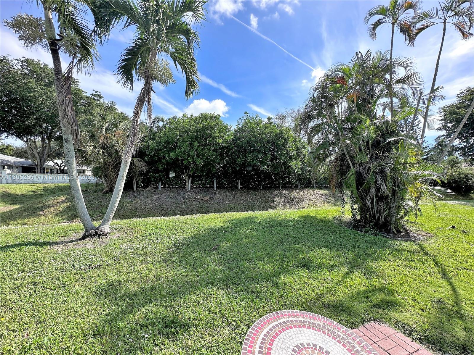 Tropical view from patio
