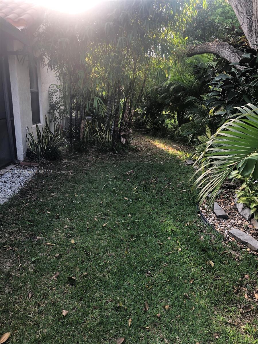Private Back Yard