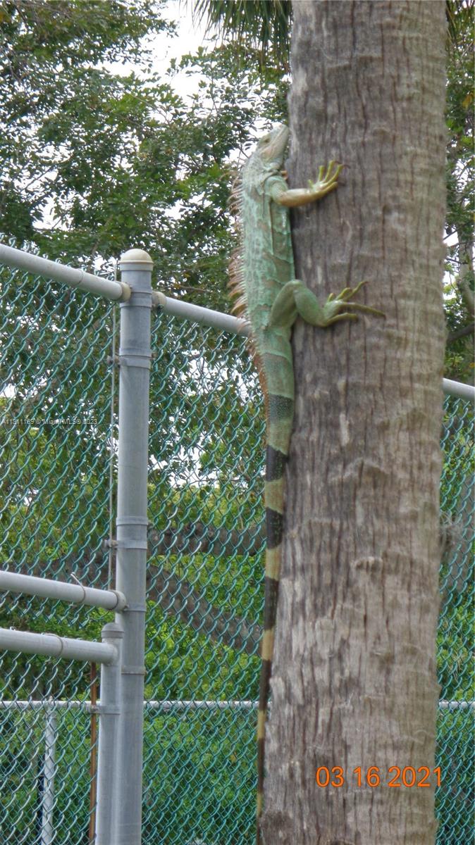 KEEPING A LOOKOUT
