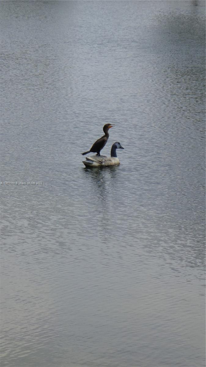 HITCH A RIDE