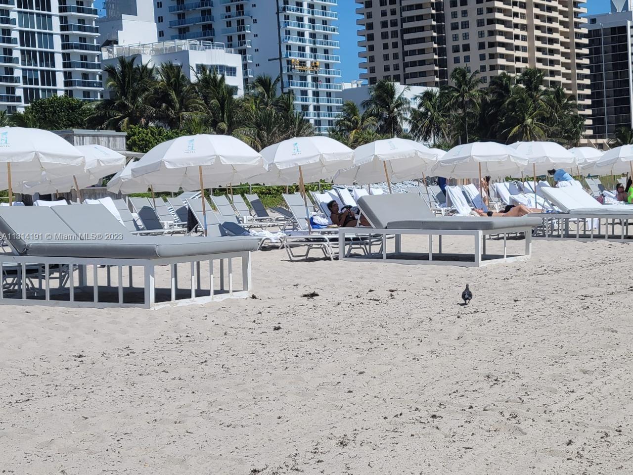 Roney beach chairs