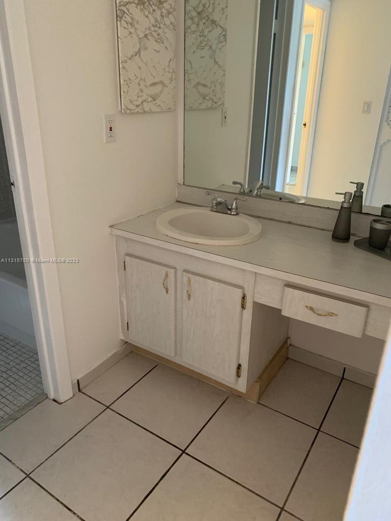 master bath sink and counter area