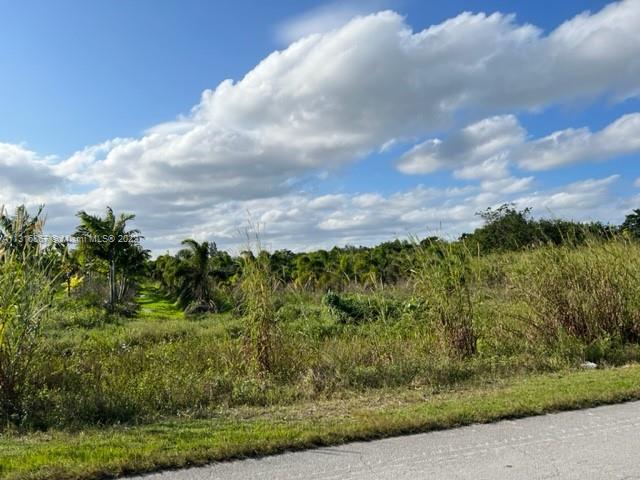 SW 287xx 107 Avenue, Unincorporated Dade County, FL 33033