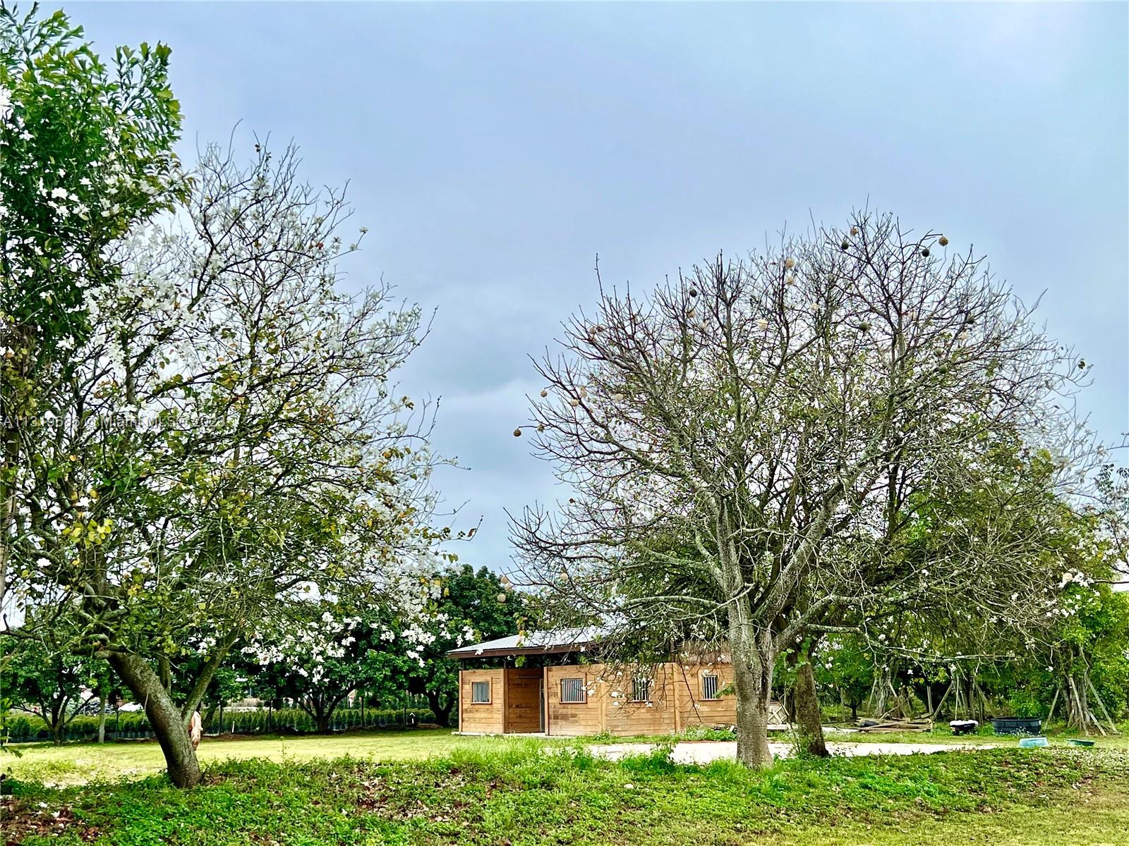 Horse Stables