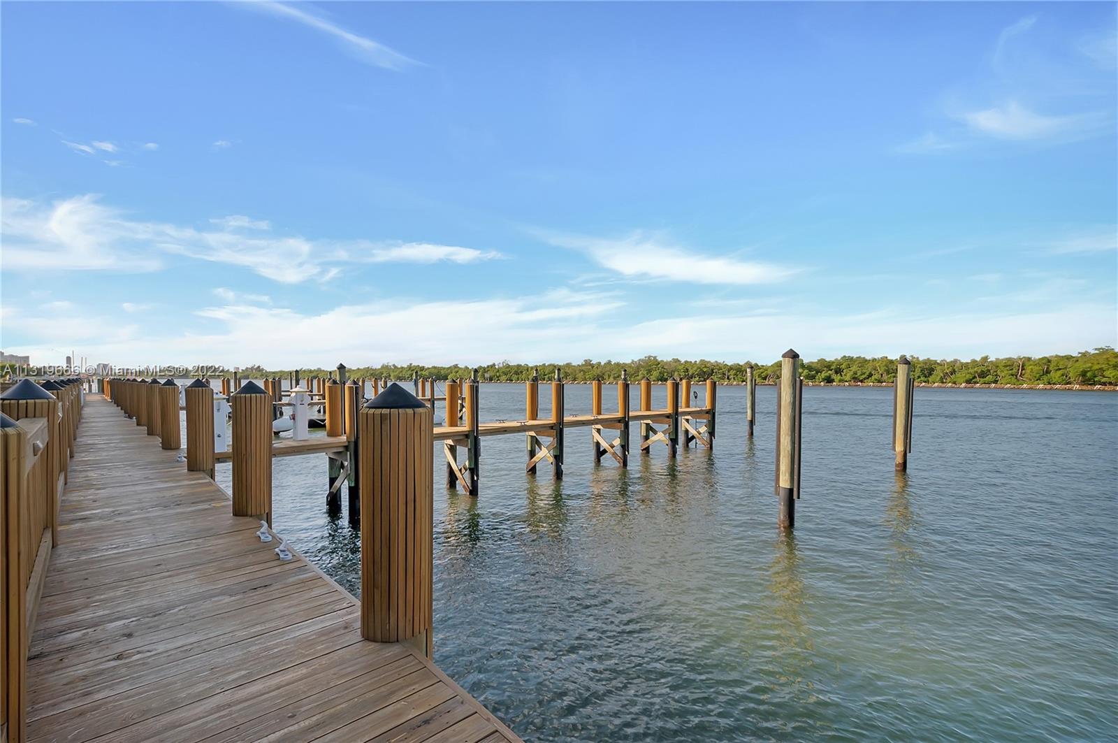 private 60 foot dock at your home