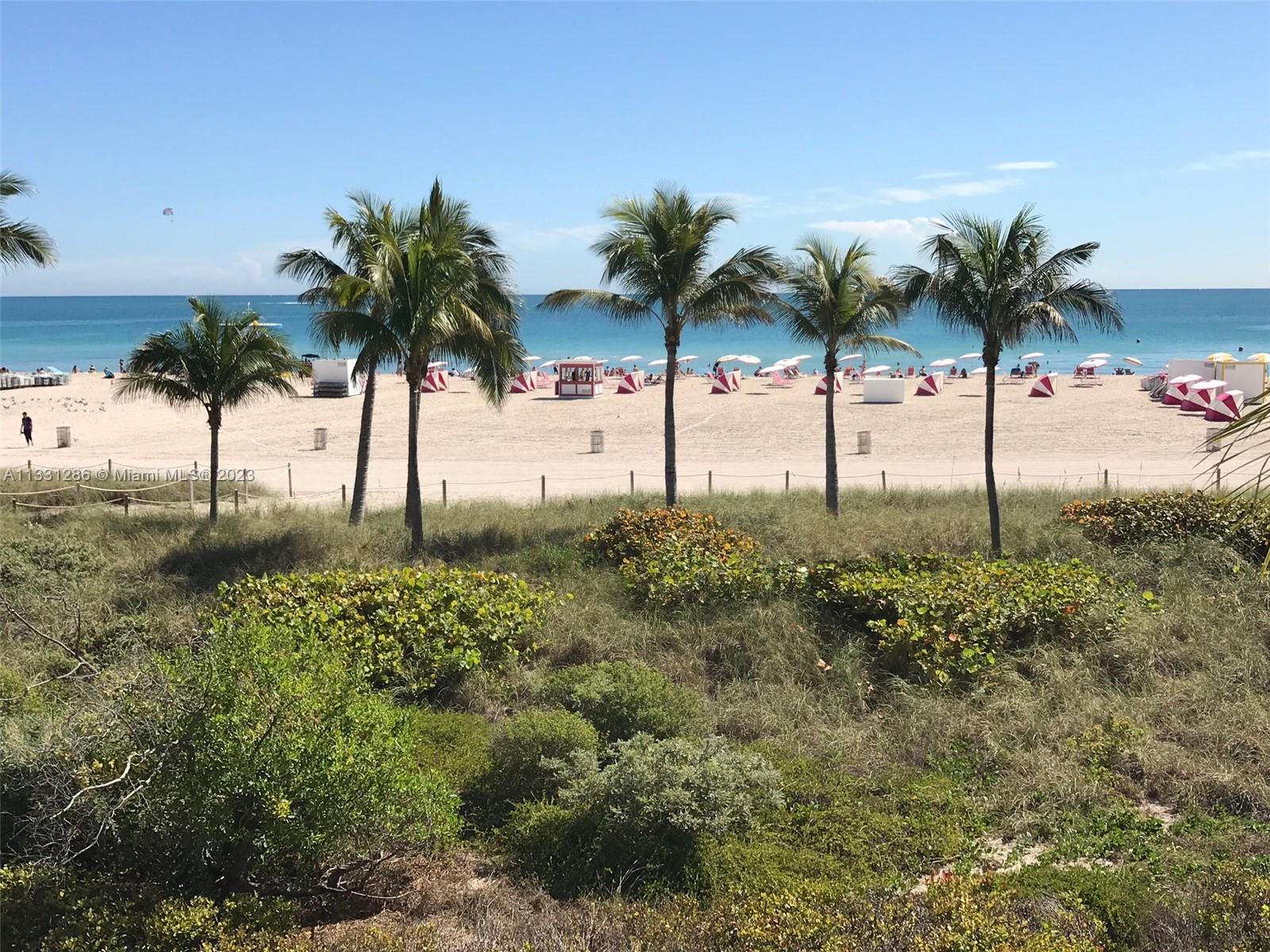 beach in front