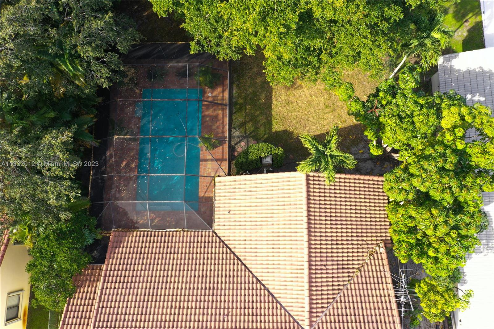 Pool Aerial view