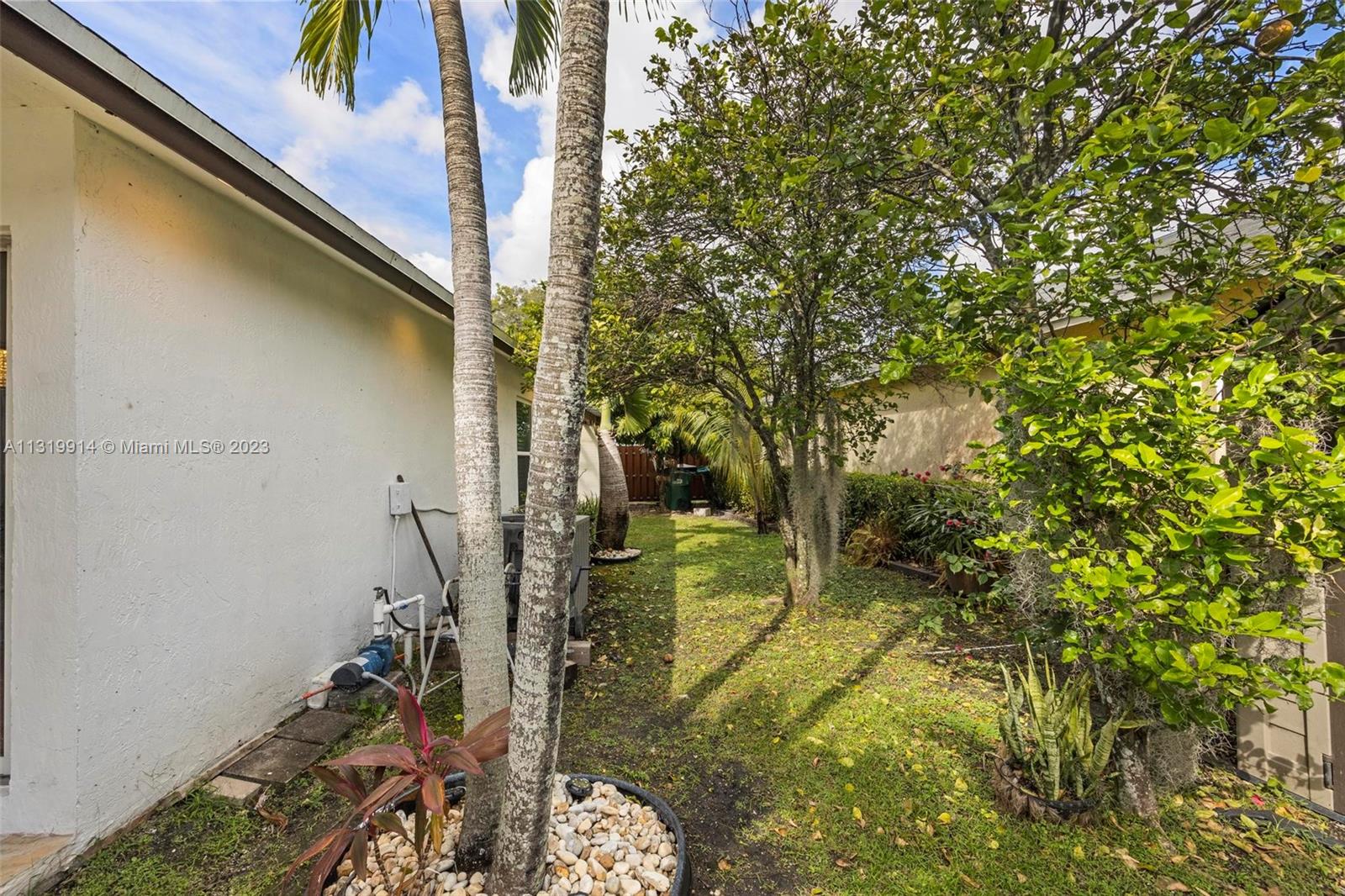 Side of property. There are sour orange trees and lychee trees. Enough room for a pool.