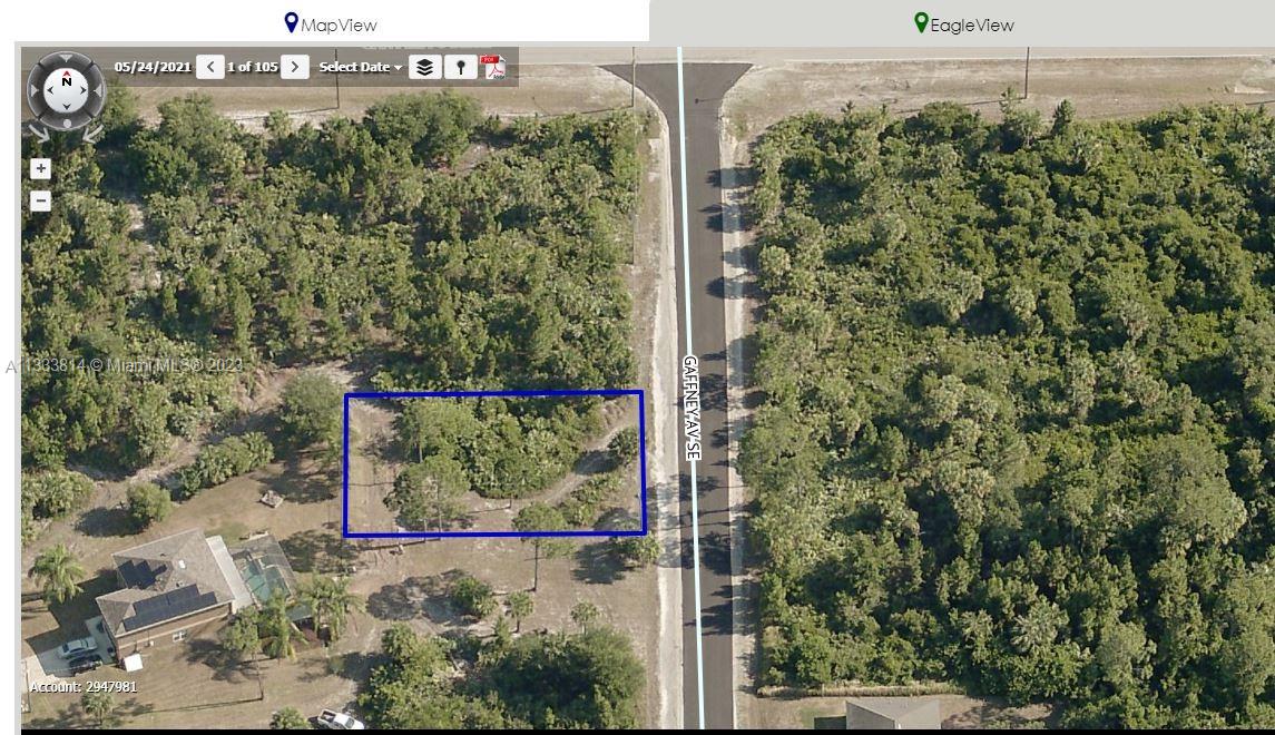 2930  Gaffney Ave SE  For Sale A11333814, FL