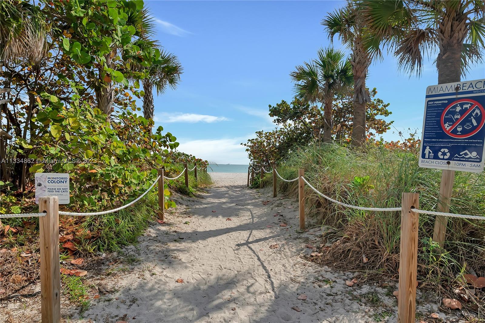 Beach access directly in front of buildings