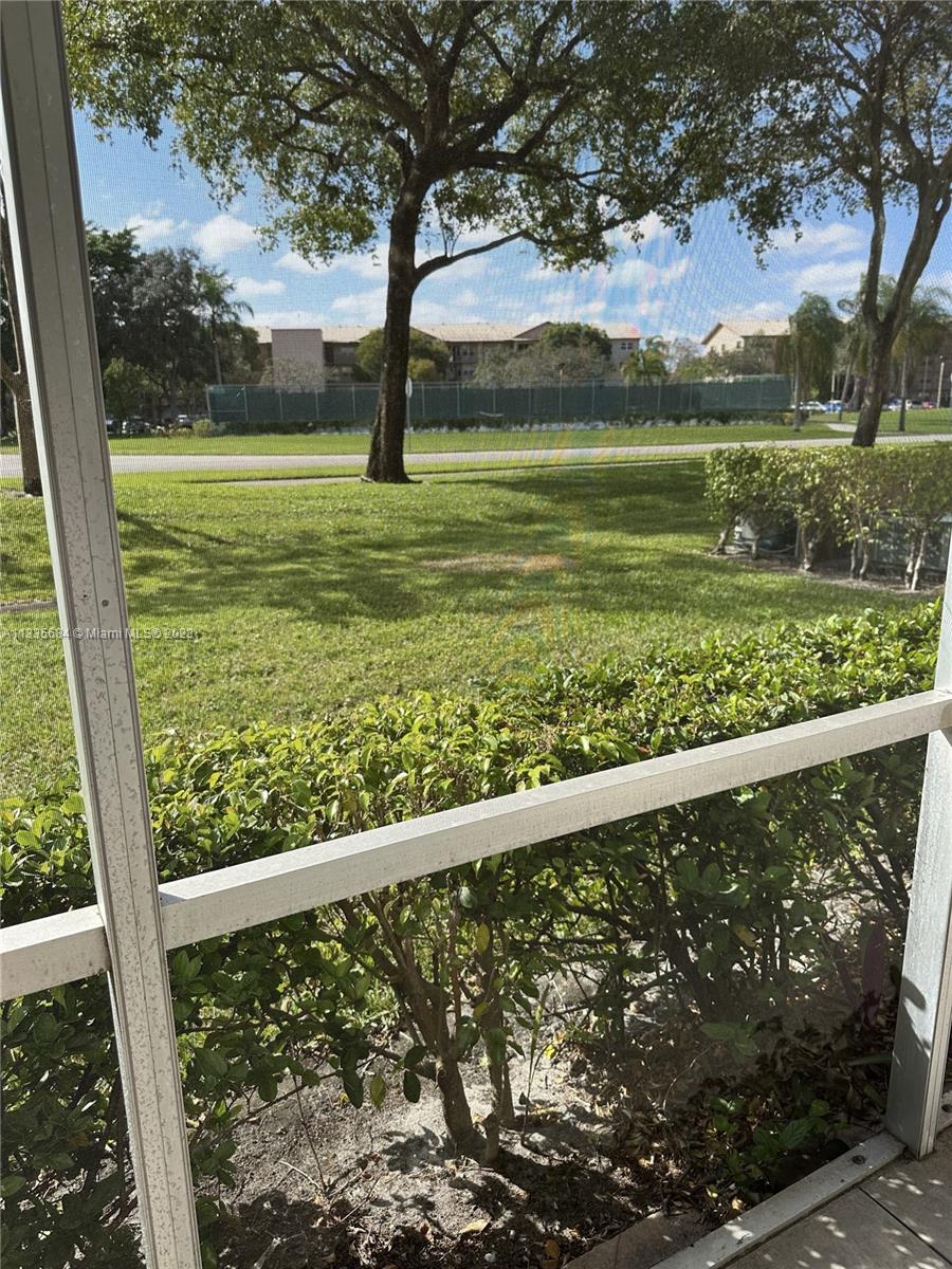 View from Patio