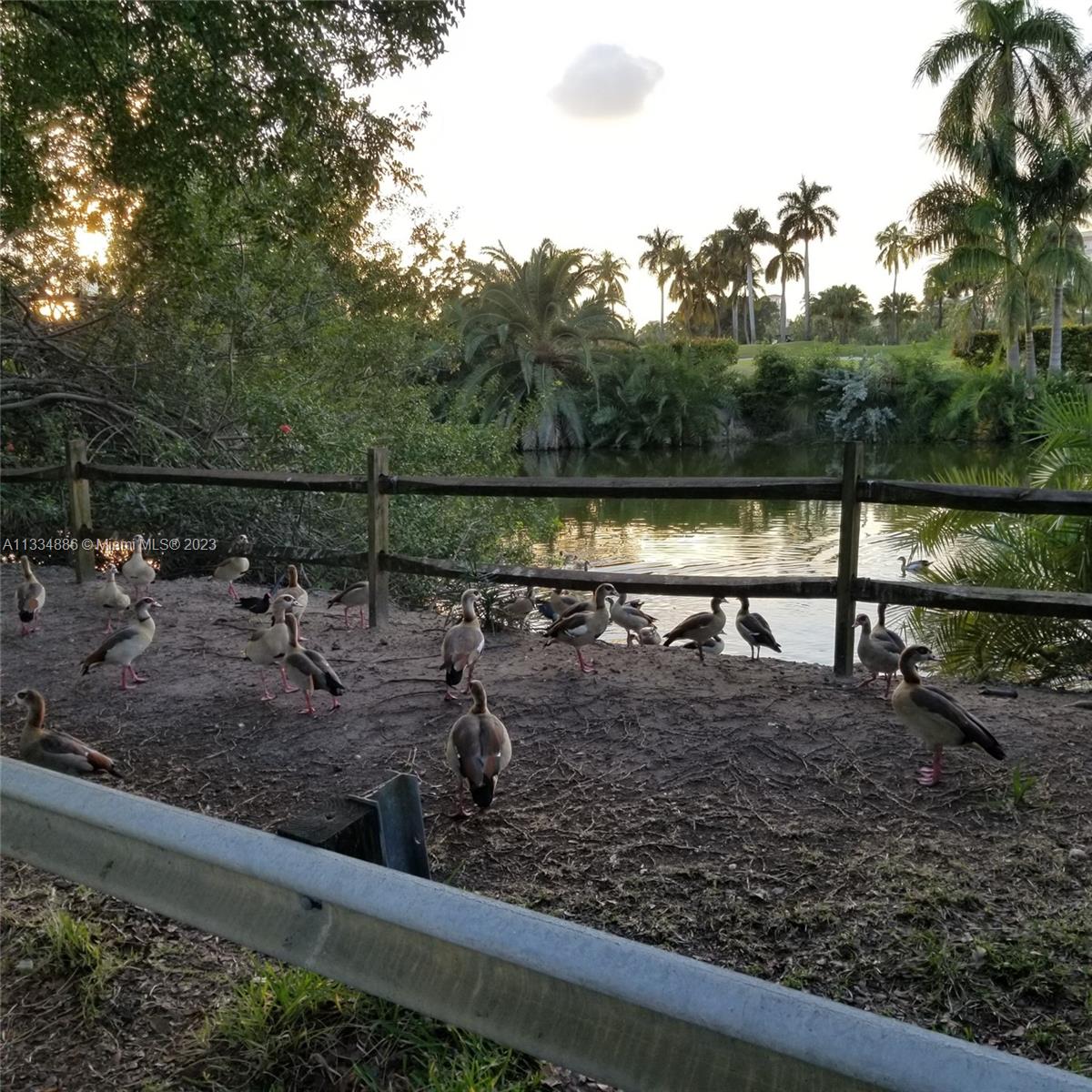 Soffer Trail - peaceful walks right in front of Biscaya condo