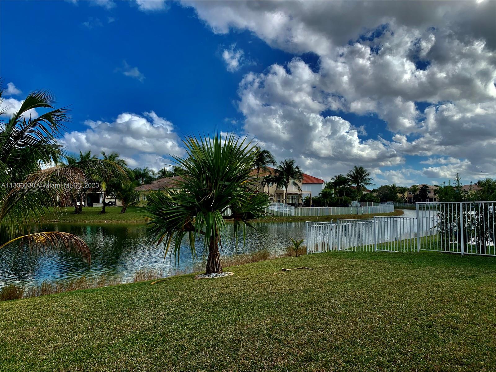 backyard view