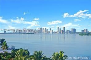 Miami skyline views from the pool deck