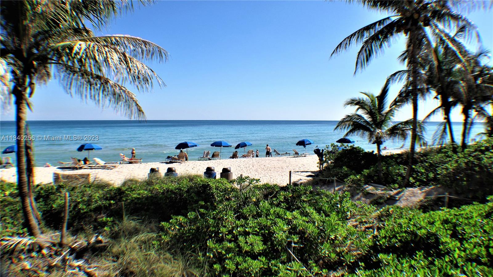 ACROSS STREET TO THE BEACH WOW with beach service chairs umbrellas