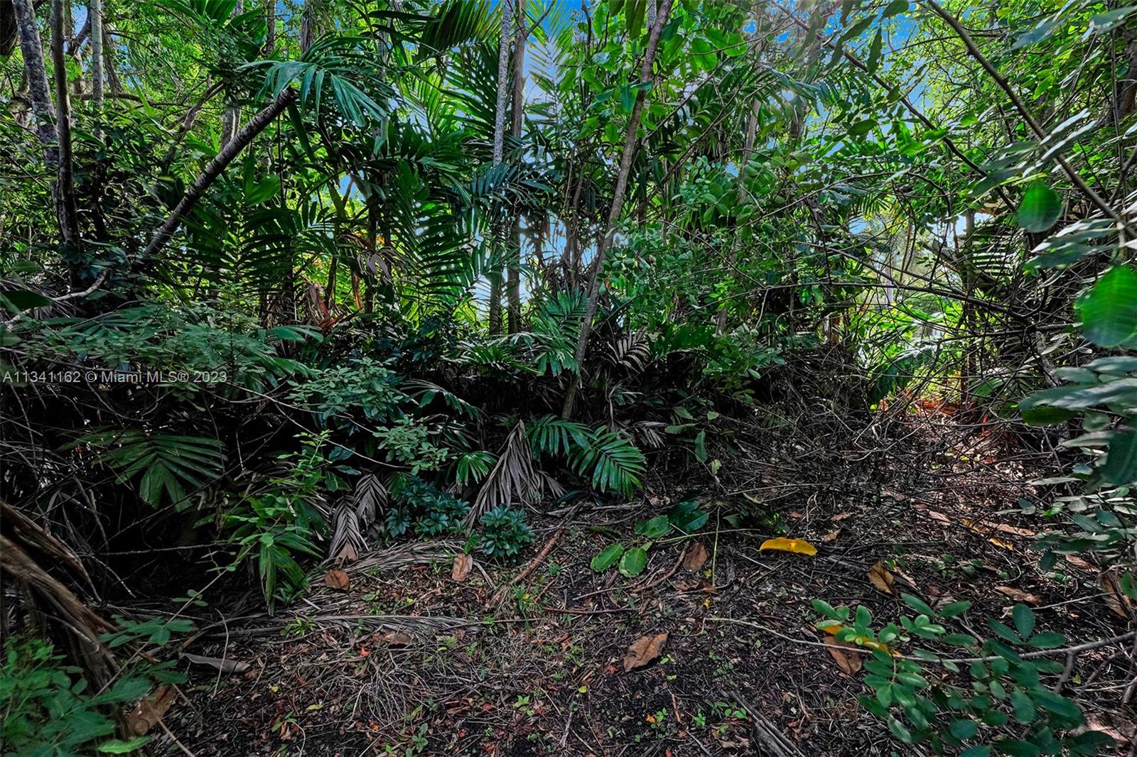 Listing Photo 14