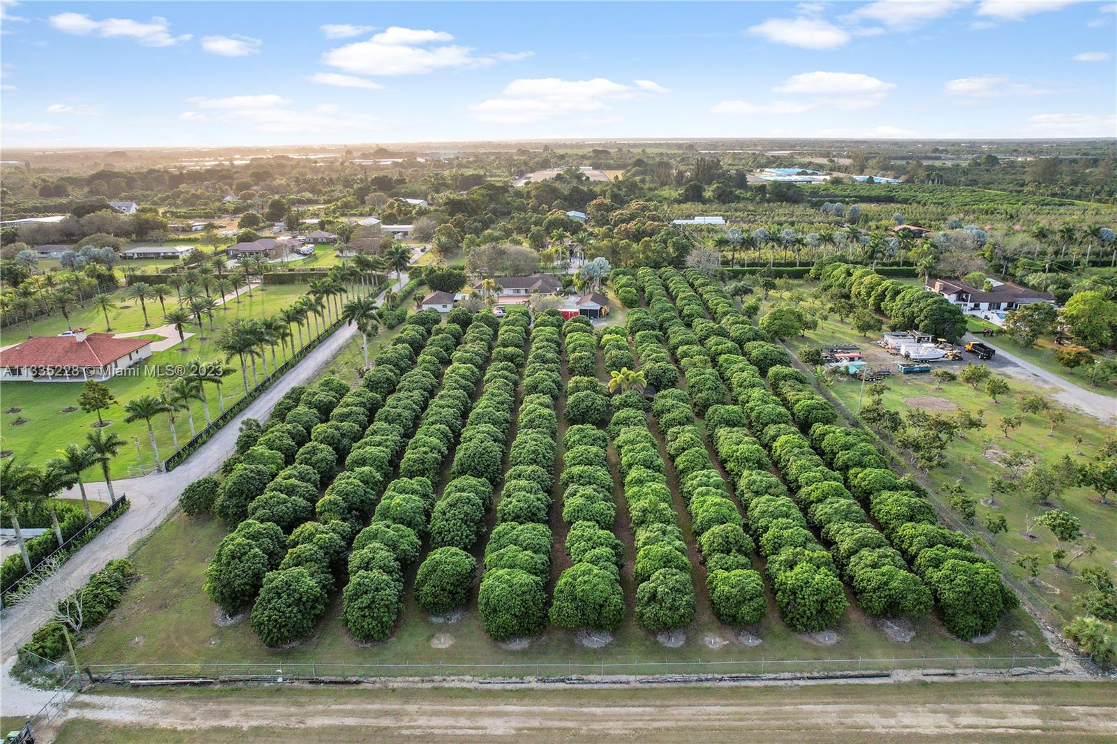 BIG LUSH TREES GREAT CENTERS.