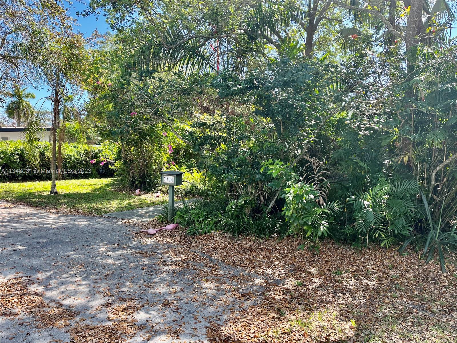 LOCATION! LOCATION! LOCATION! BUYERS BUILD YOUR DREAM HOME OR COMPLEATLY RENOVATE THIS NORTH
PINECREST HIDDEN GEM. THIS CORNER OVERSIZED BUILERS HALF ACRE HOME OFFERS MATURE OAK TREES, HIGH VAULTED WOOD BEAM CEILINGS, LOTS OF STORAGE, LARGE BACK YARD AND POOL.  A+ SCHOOLS.