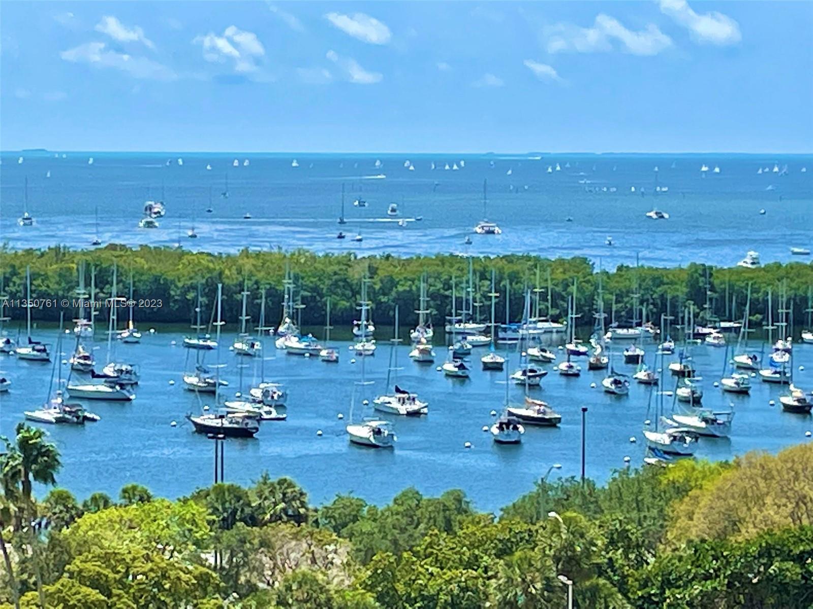 Sunday sailboats on the Bay from the balcony