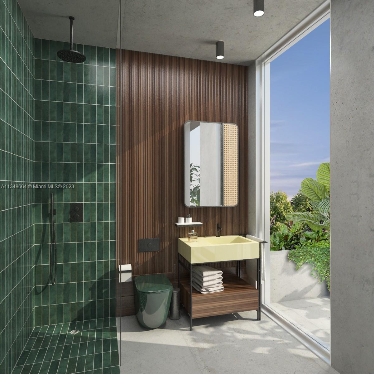 Shower and view