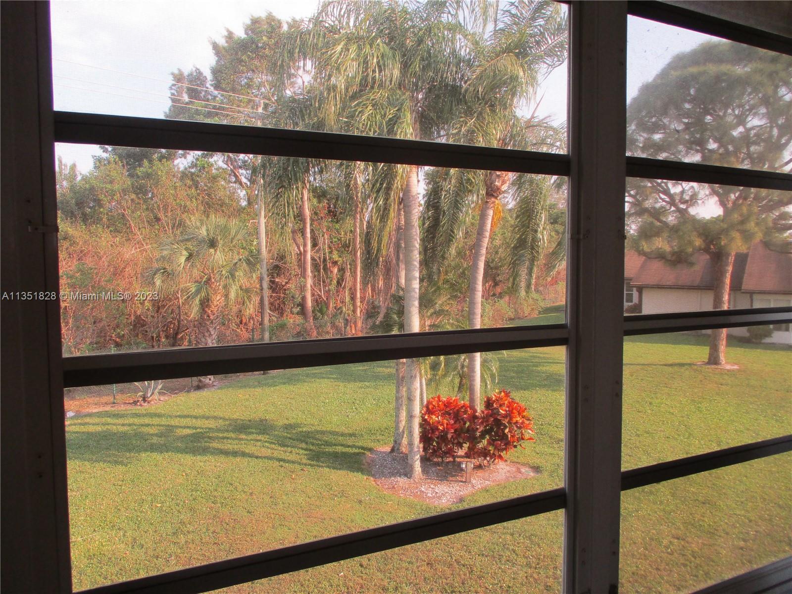 TROPICAL VIEW FROM PATIO