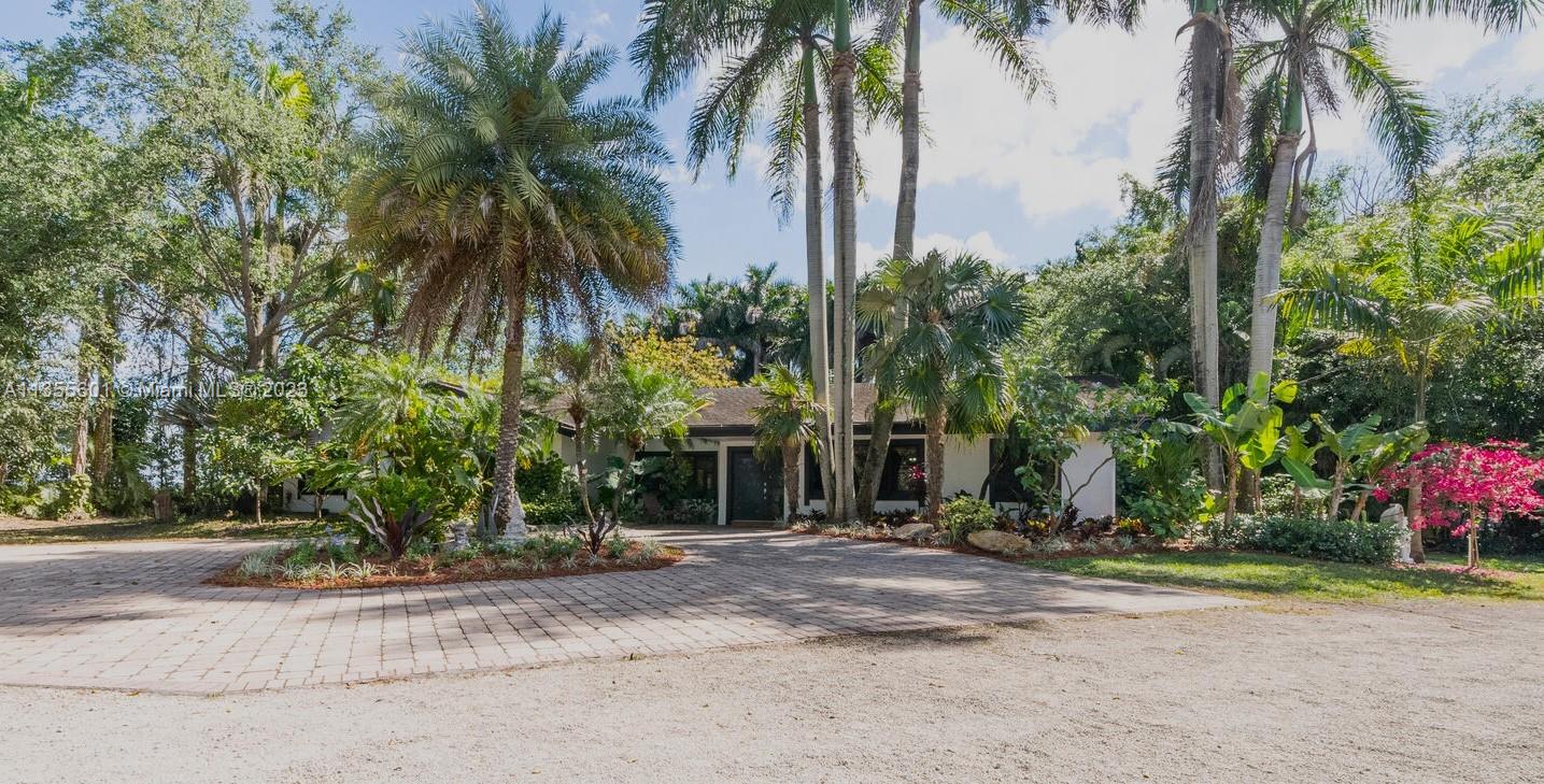 Front garden & driveway