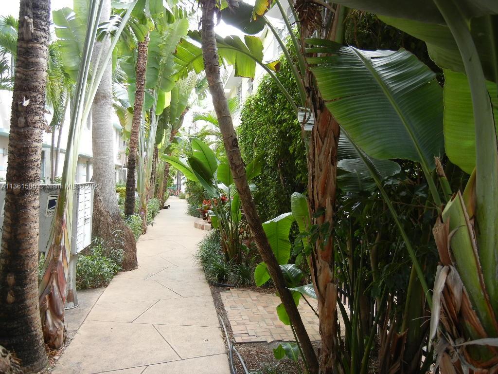 901 Euclid Ave 8, Miami Beach, FL 33139