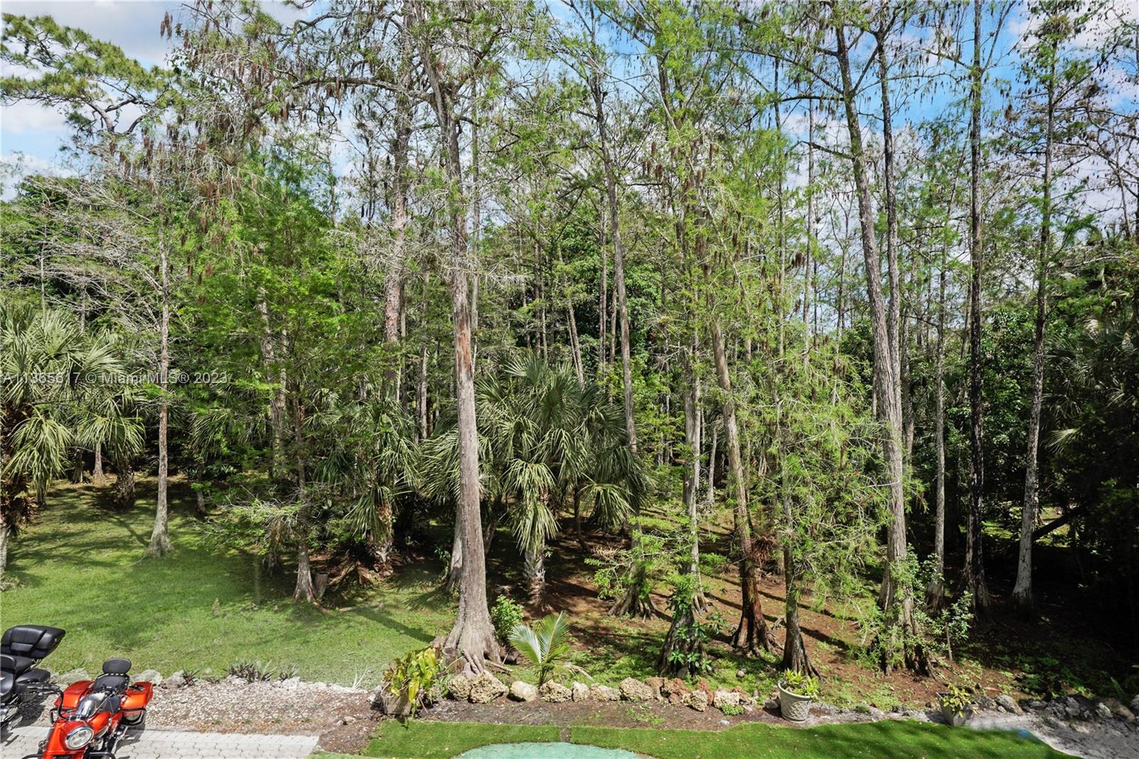 View of Nature Preserve