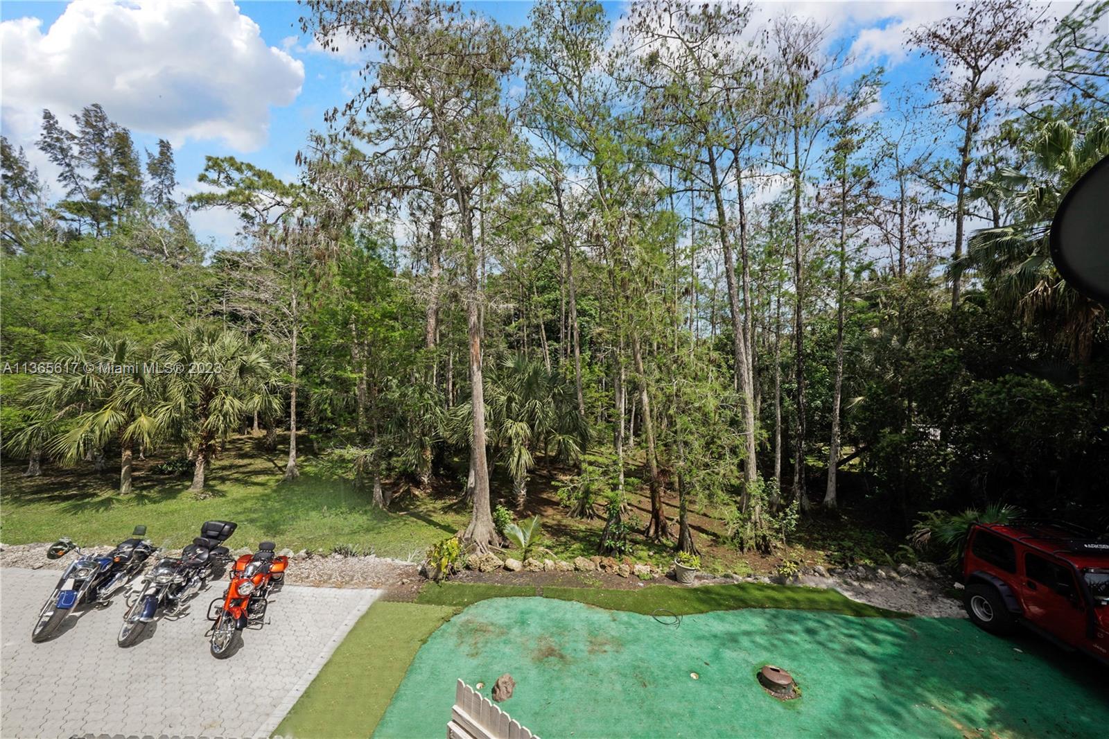 Nature Preserve/Putting Green in Backyard