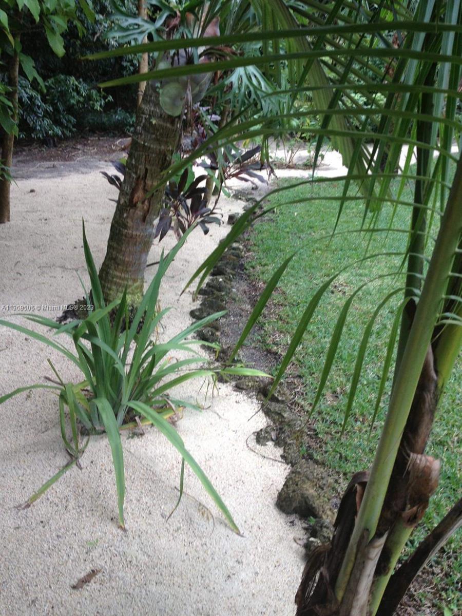 Tropical pathways