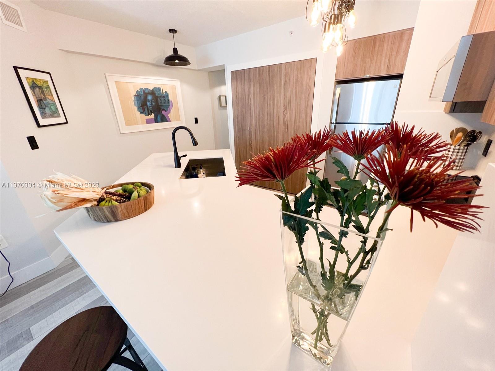 Brand new quartz countertops.