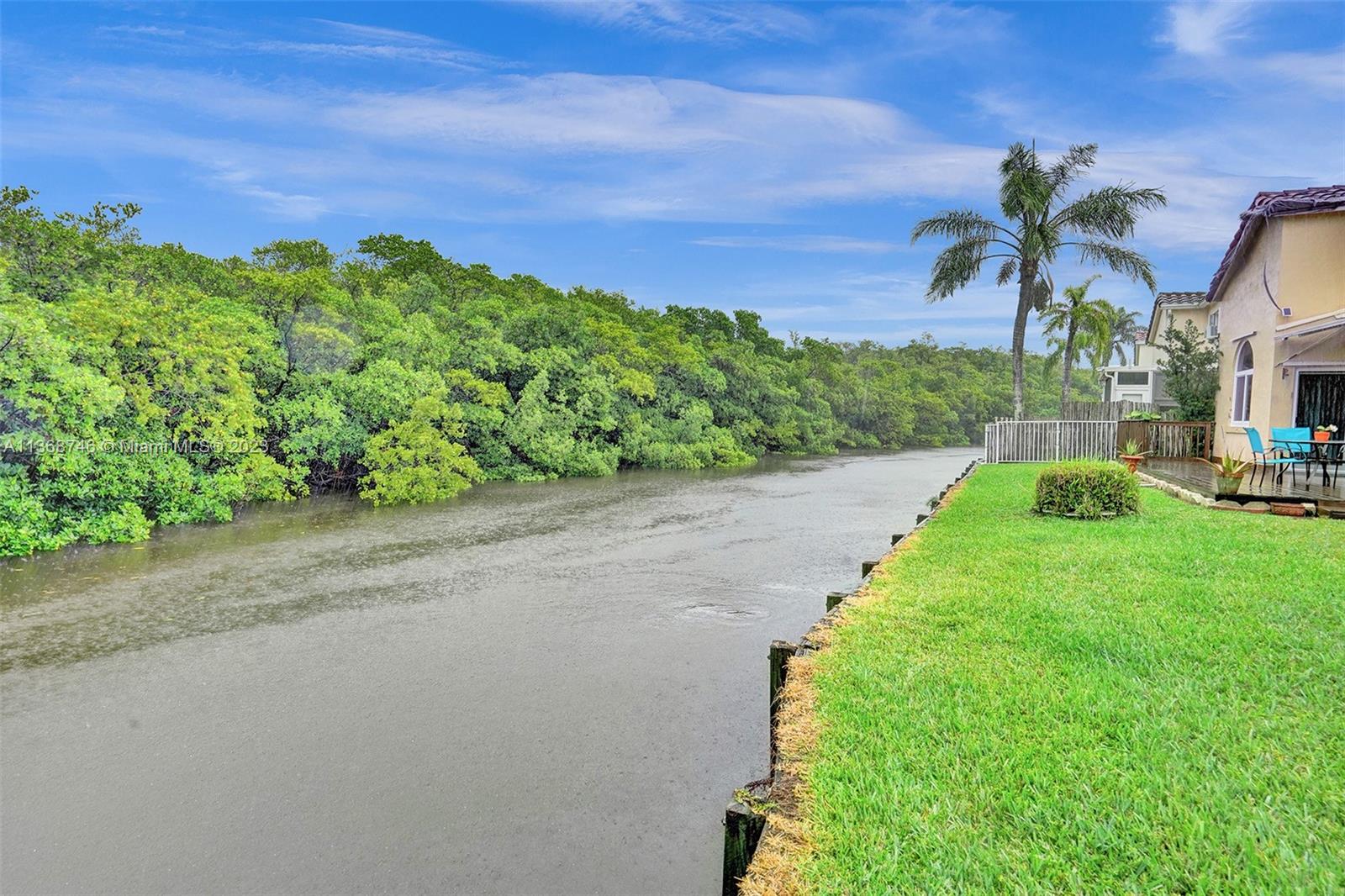 Backyard water views