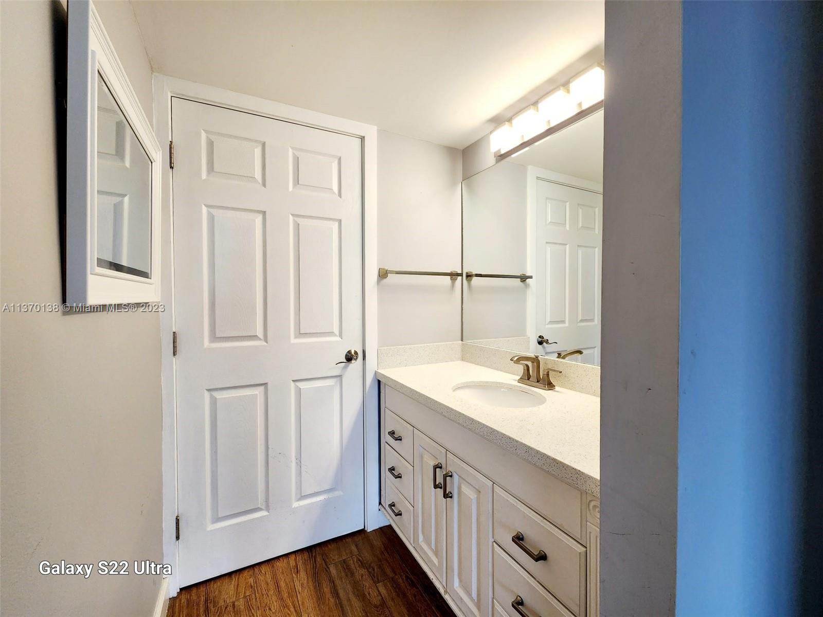 Master Bathroom Sink