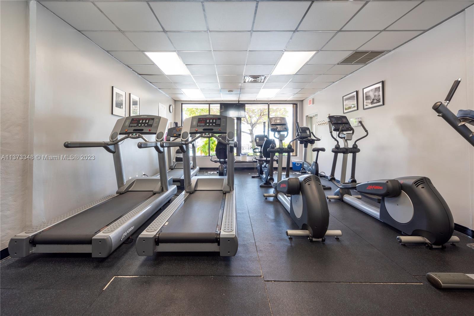 Gym