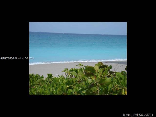 Beach View