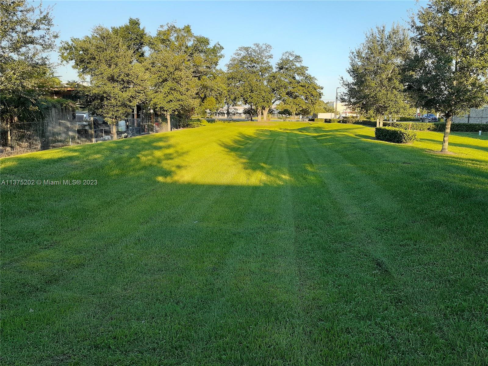 Along back of the property looking east