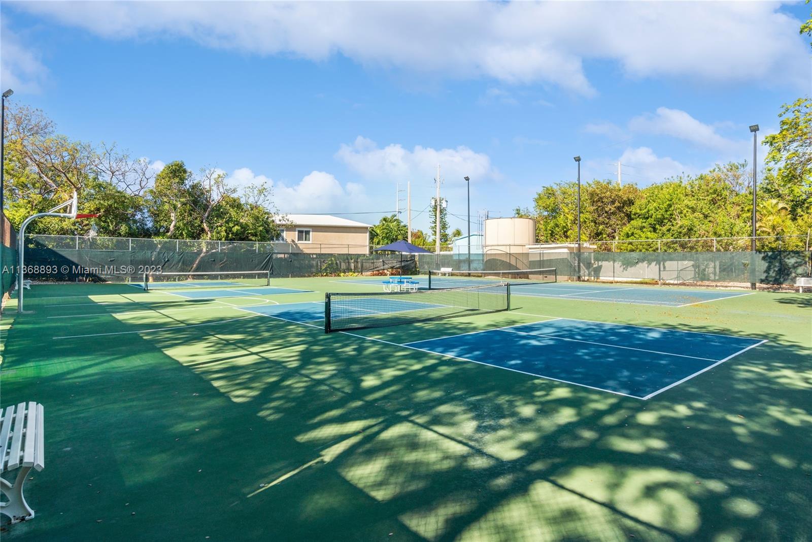 Tennis & Pickleball Court