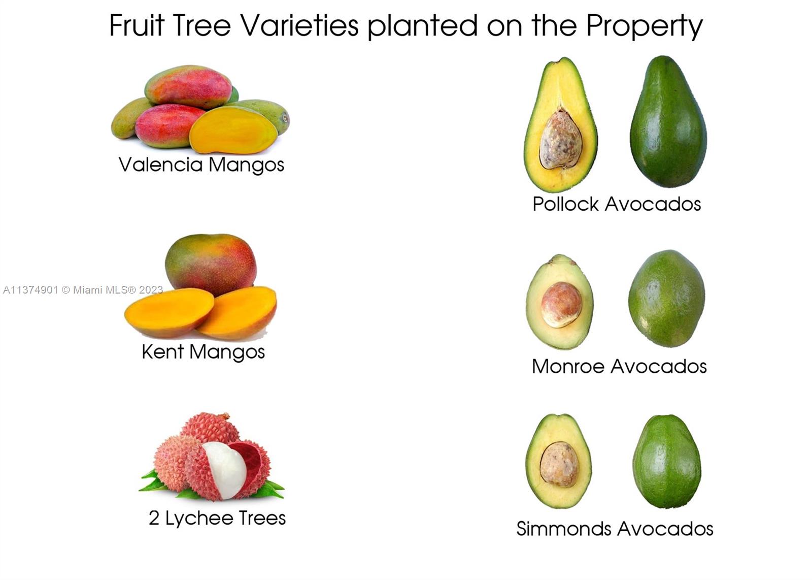 Fruit Tree Varieties