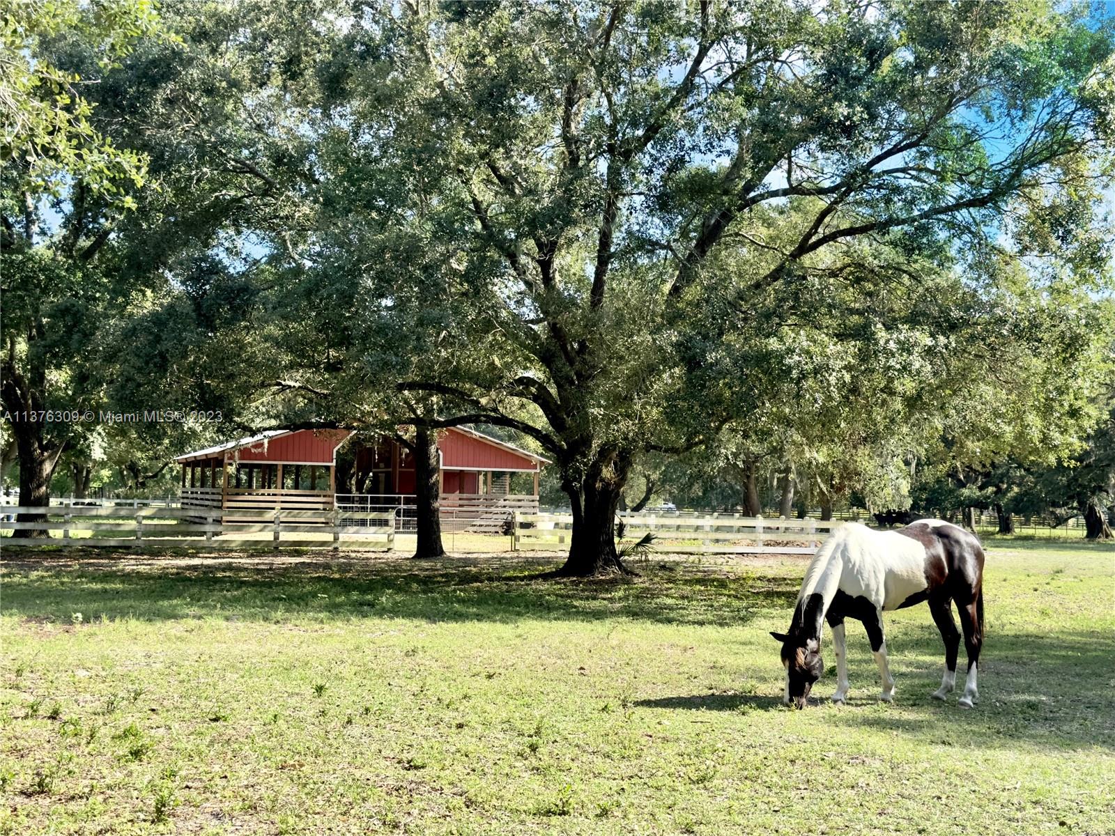 Barn