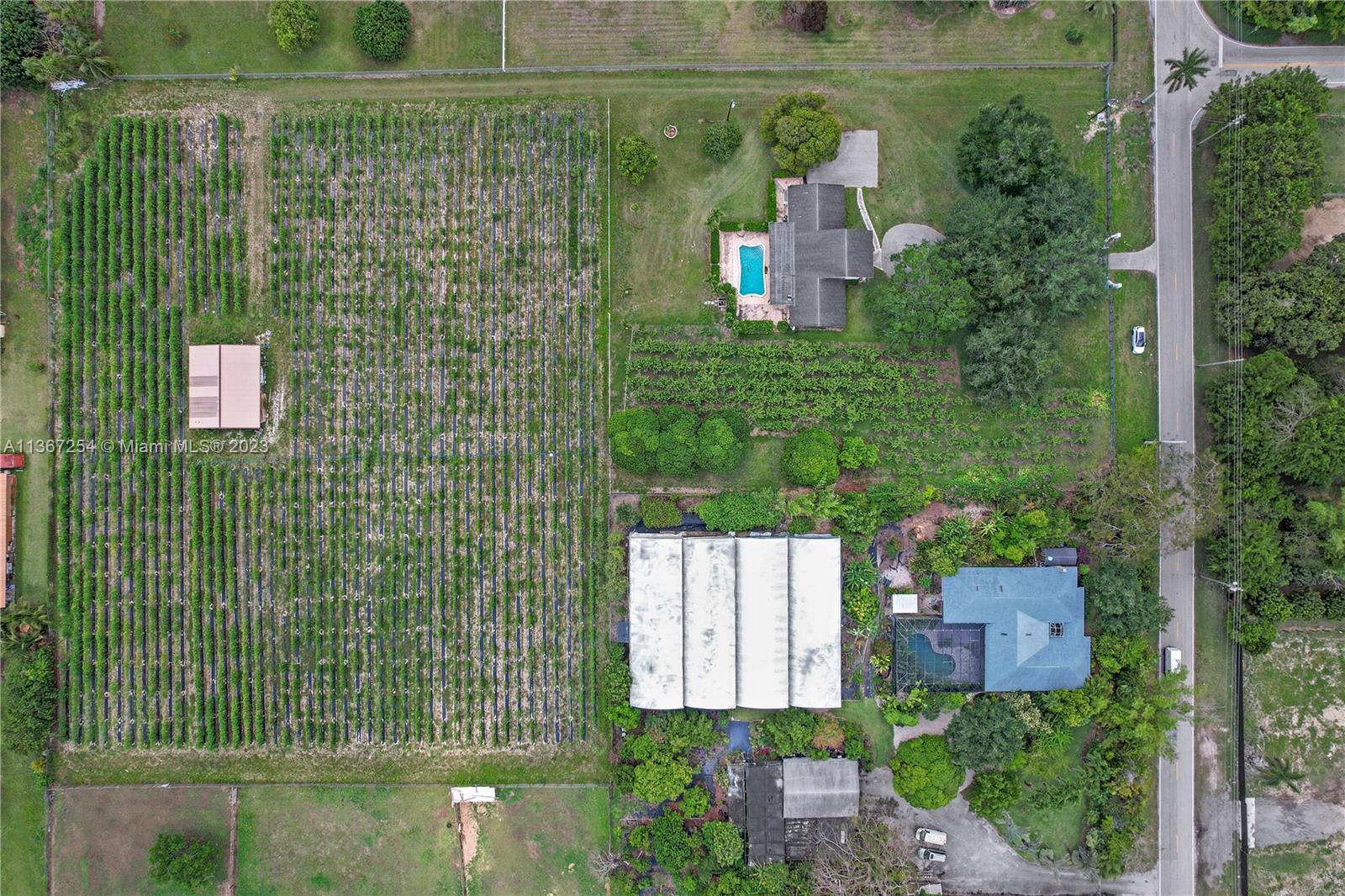 GROVE TO RIGHT OF HOUSE IN FRONT AREA BY POOL.. BARN IN REAR SURROUNDED BY BEANS