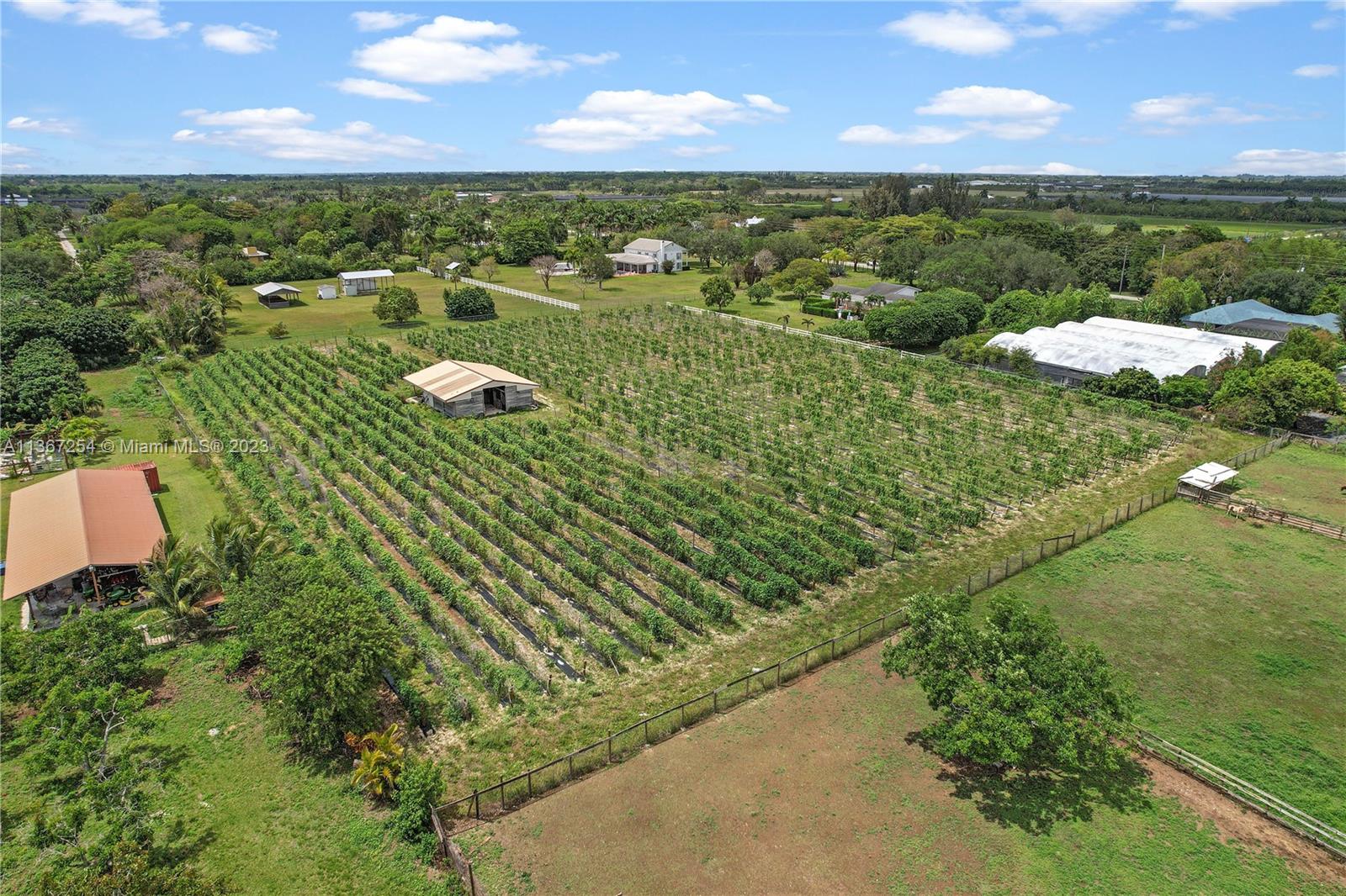 THE HOME W POOL SMALL GROVE UP FRONT WITH LARGE REAR AREA FOR AGRICULTURE