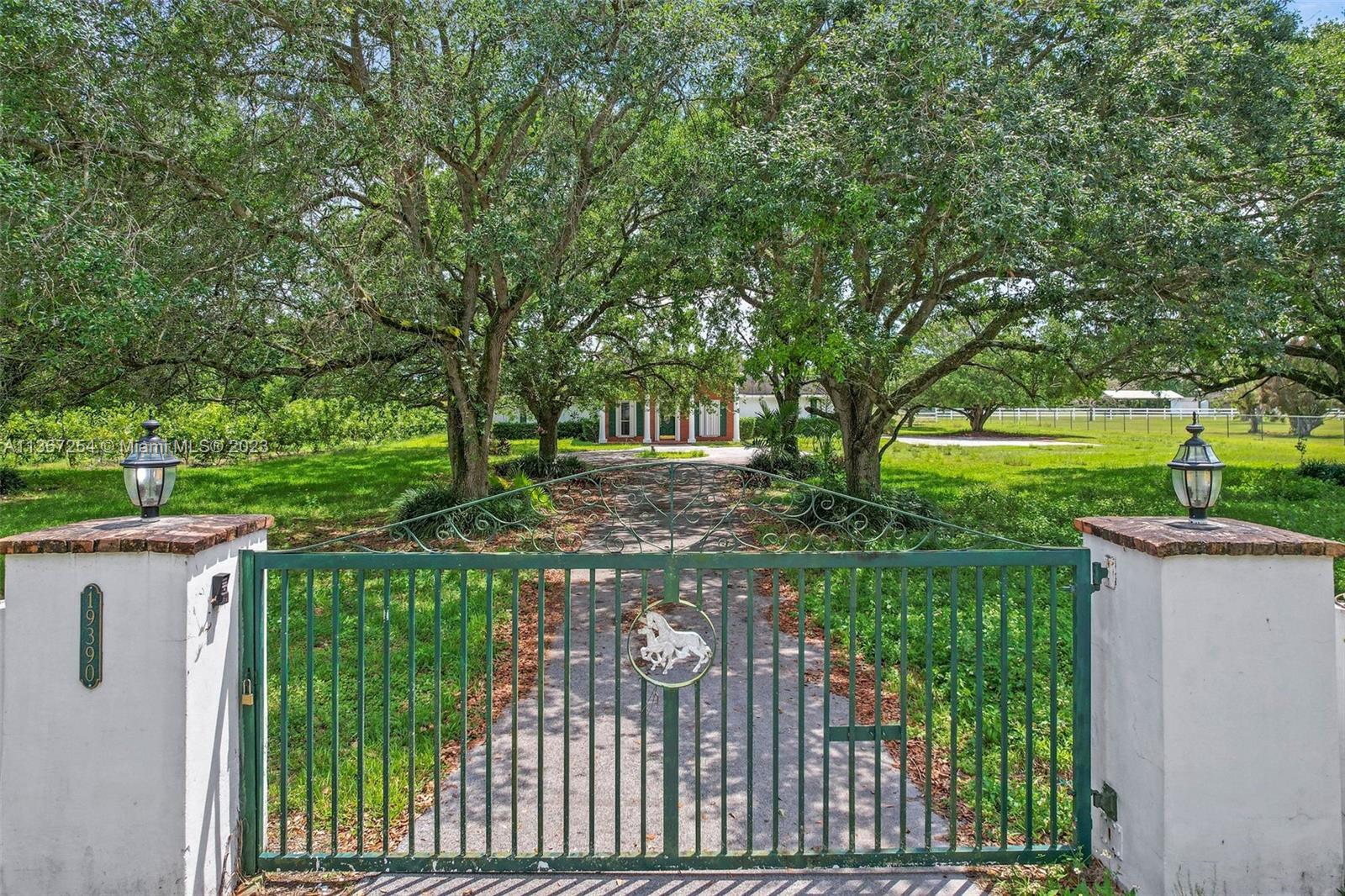 CIRCULAR DRIVEWAY UNDER THE OAKS