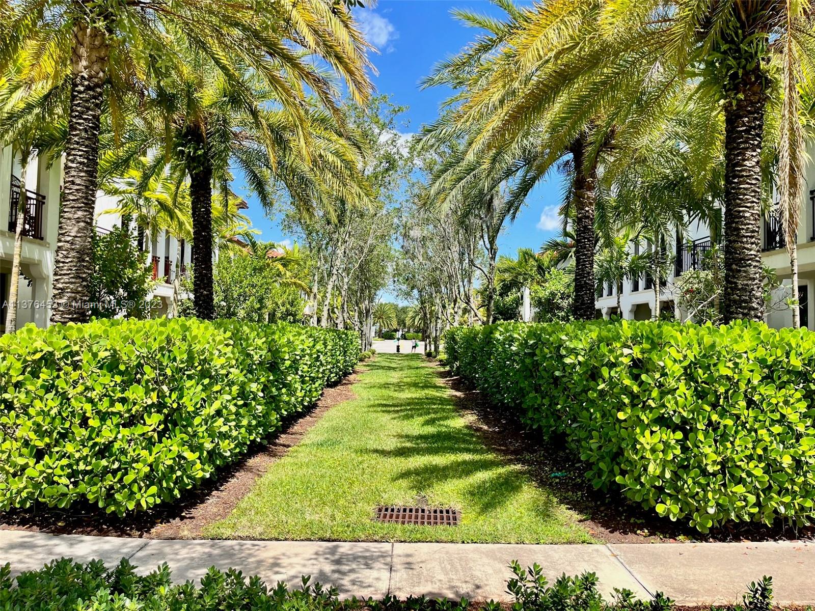 Part of the Front Gardens