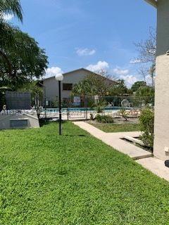 back yard