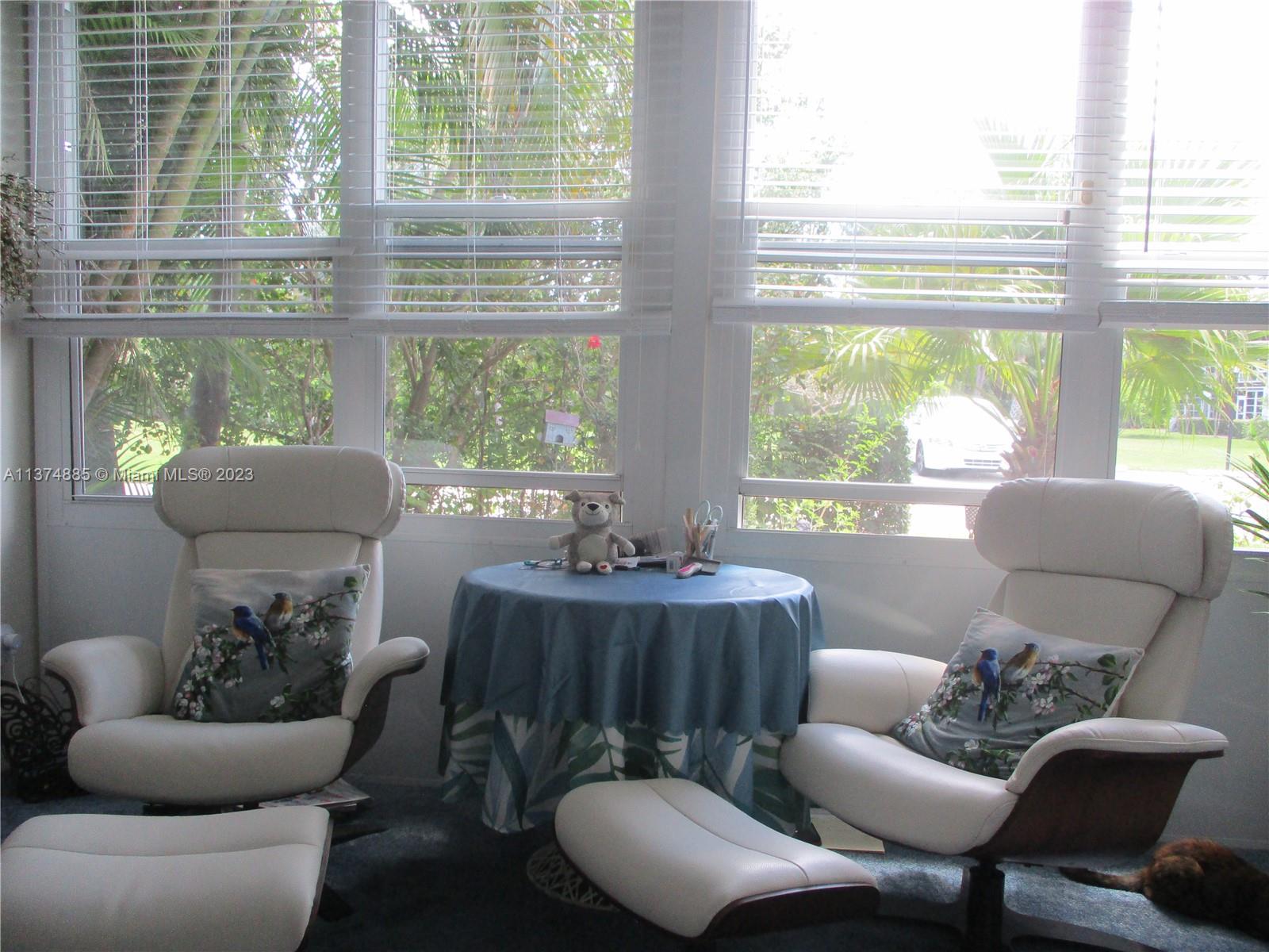 LARGE ENCLOSED PRIVATE PATIO WITH PALM TREE